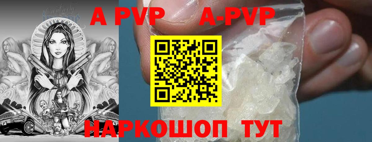 Альфа ПВП СК Зерноград