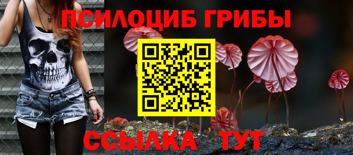 Псилоцибиновые грибы прущие грибы Зерноград