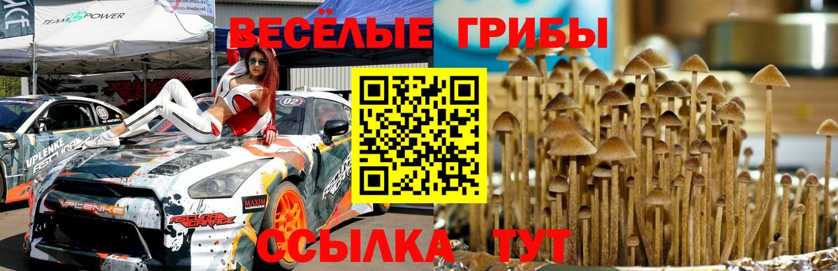 Зерноград  Псилоцибиновые грибы Magic Shrooms  Галлюциногенные грибы Magic Shrooms  Вход с VPN 